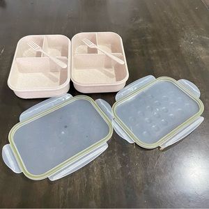 Two bento boxes